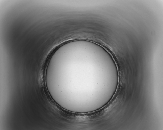X0000095901498200801181235