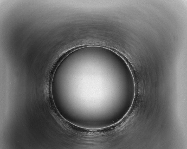 X0000095901499200801181235