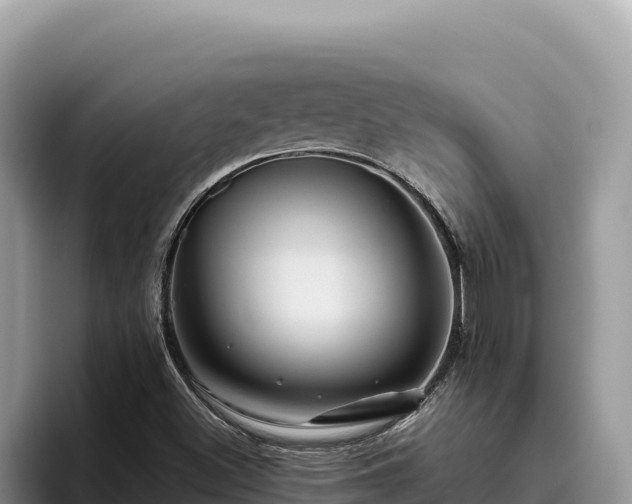 X0000095901500200801181235