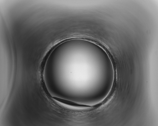 X0000095901501200801181235