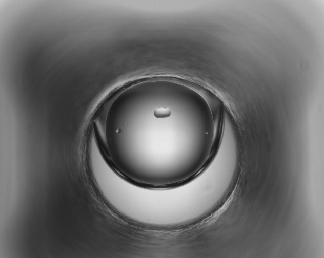 X0000095901502200801181235