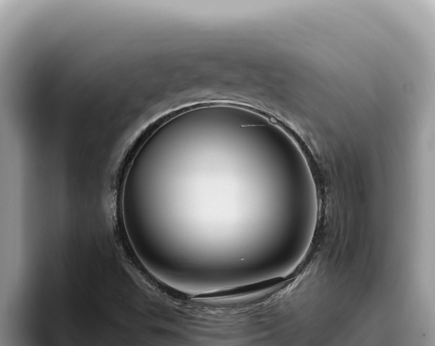 X0000095901503200801181235