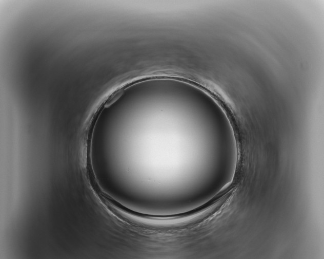 X0000095901504200801181235