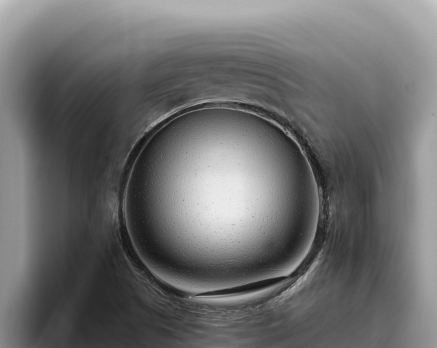 X0000095901505200801181235