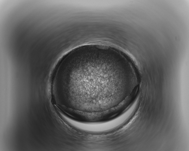 X0000095901506200801181235