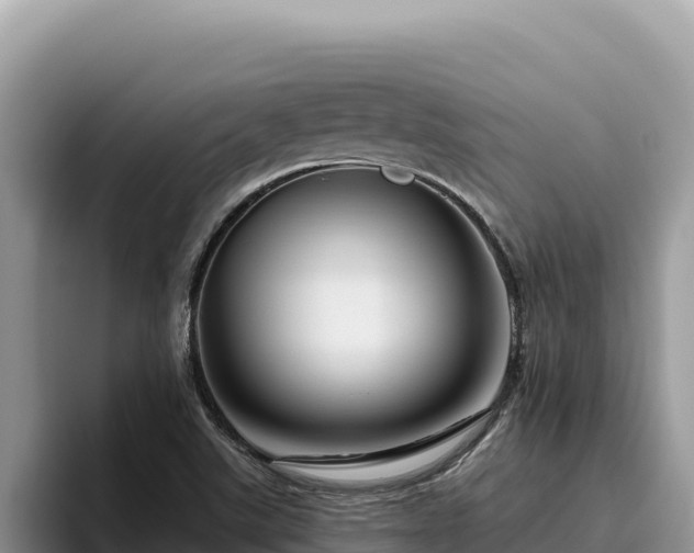 X0000095901507200801181235