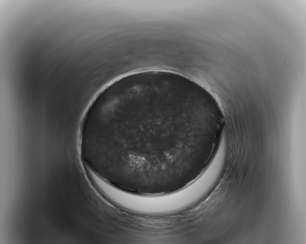 X0000095901508200801181235