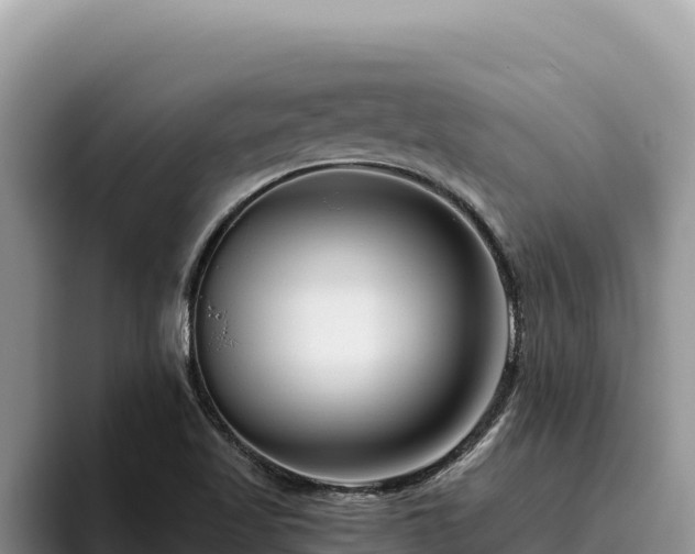X0000095901509200801181235