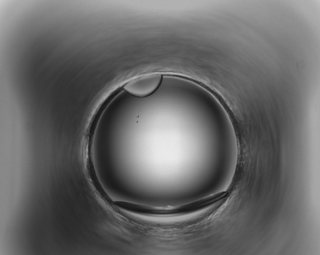 X0000095901511200801181235