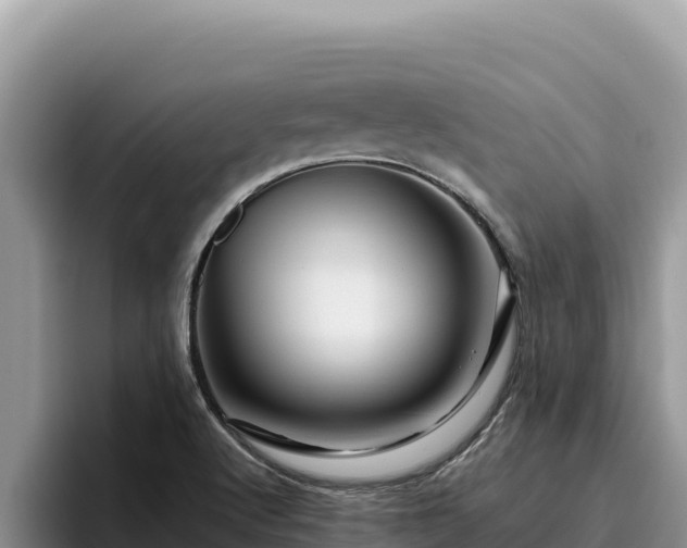 X0000095901512200801181235