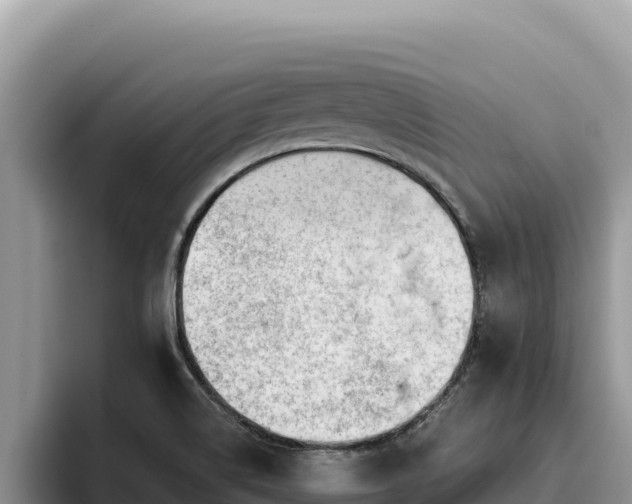 X0000095901514200801181235