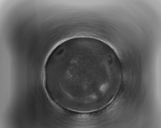 X0000095901515200801181235