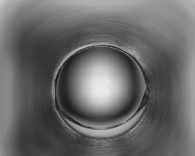X0000095901516200801181235