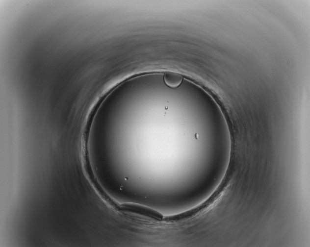 X0000095901517200801181235