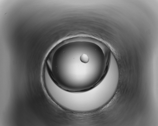 X0000095901518200801181235