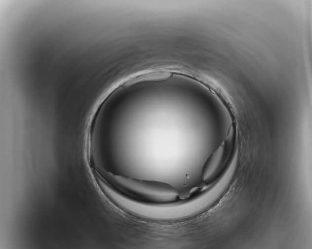 X0000095901520200801181235