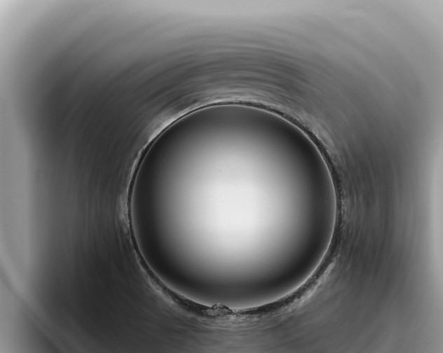 X0000095901521200801181235