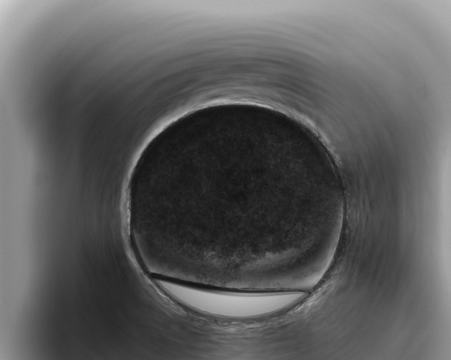 X0000095901522200801181235