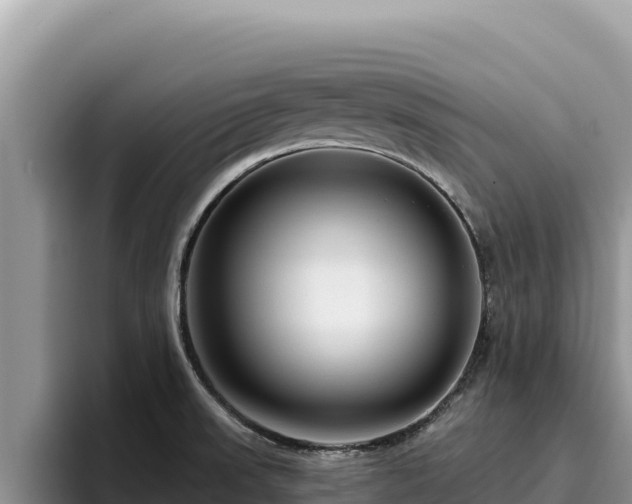 X0000095901523200801181235