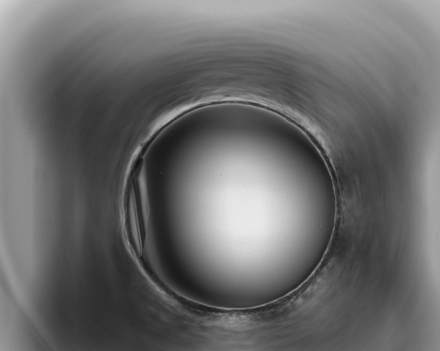 X0000095901525200801181235