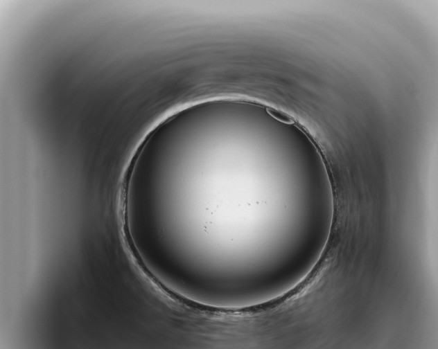 X0000095901526200801181235