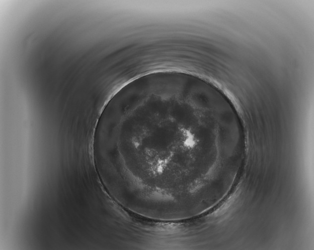 X0000095901529200801181236