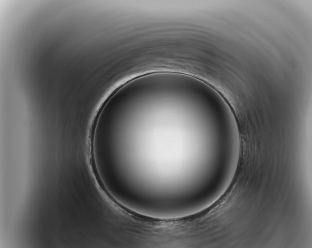 X0000095901531200801181236