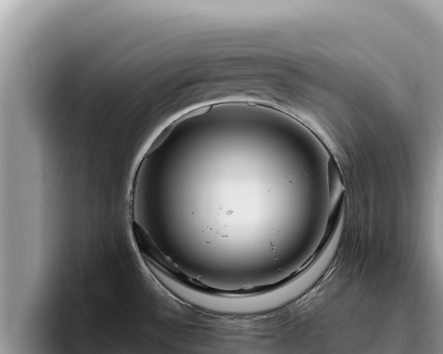 X0000095901532200801181236