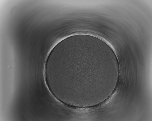 X0000095901533200801181236