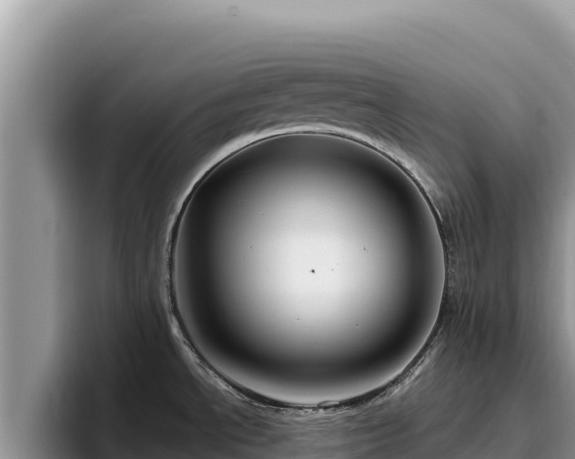 X0000095901534200801181236