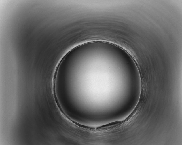 X0000095901535200801181236