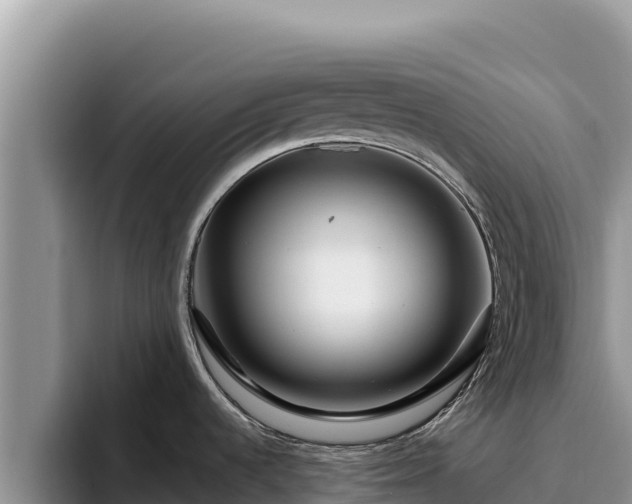 X0000095901536200801181236