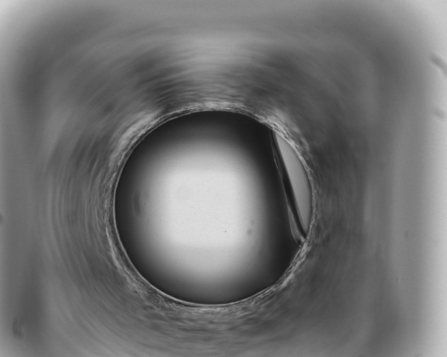 X0000095900001200801251234