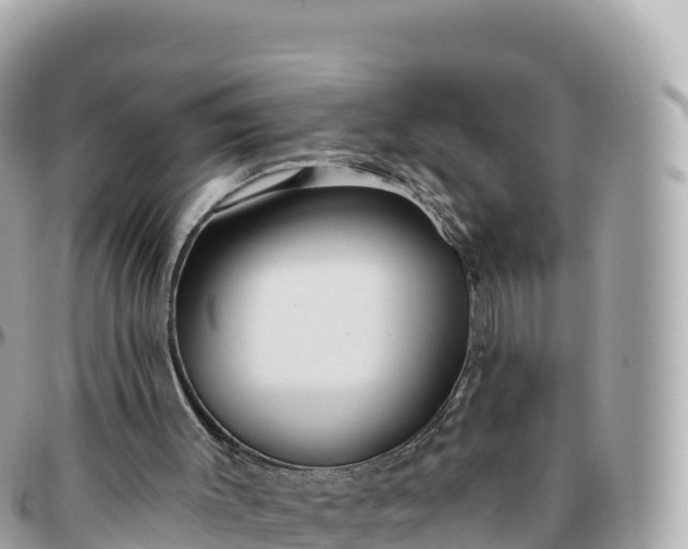 X0000095900003200801251234