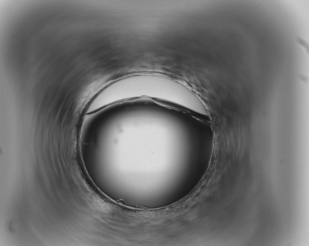 X0000095900005200801251234