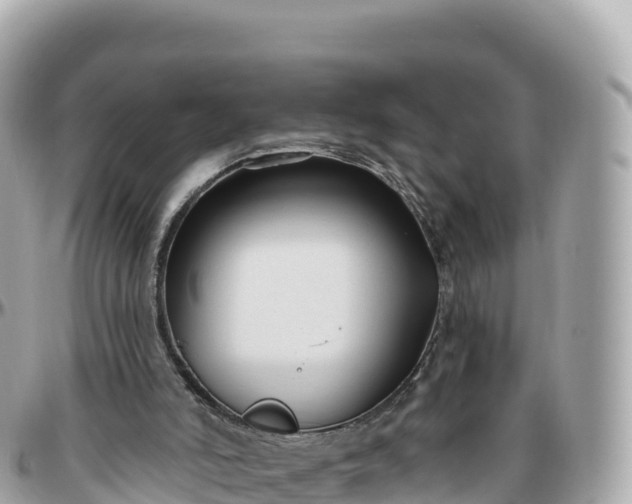 X0000095900006200801251234