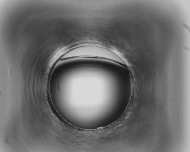 X0000095900007200801251234