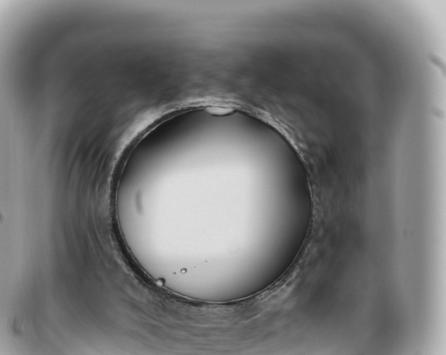 X0000095900008200801251234