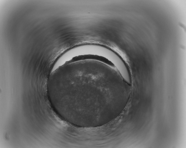 X0000095900009200801251234