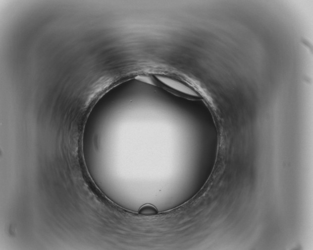 X0000095900010200801251234