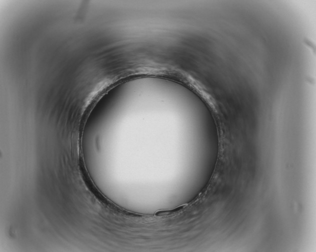 X0000095900011200801251234