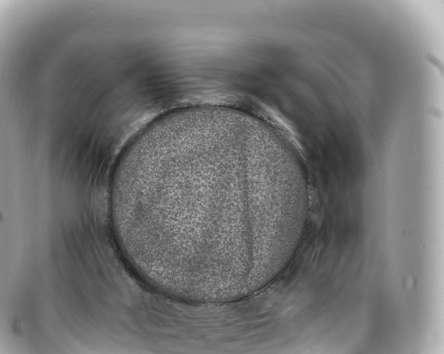 X0000095900012200801251234