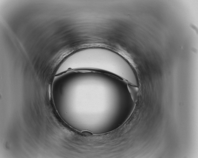 X0000095900013200801251234