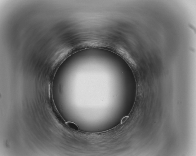 X0000095900014200801251234