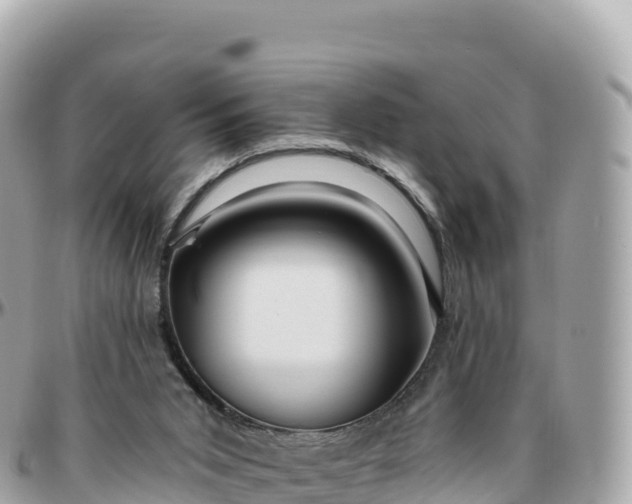 X0000095900015200801251234