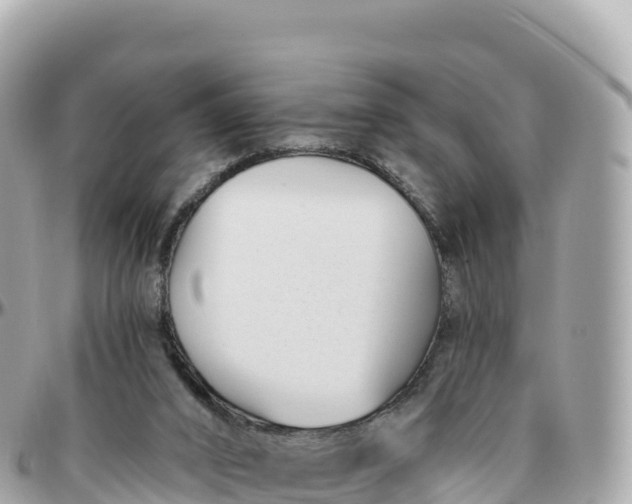 X0000095900016200801251234