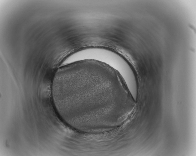 X0000095900017200801251234