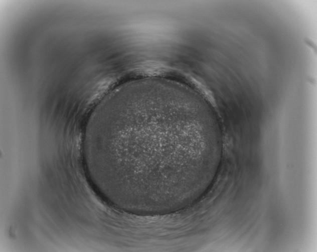 X0000095900018200801251234