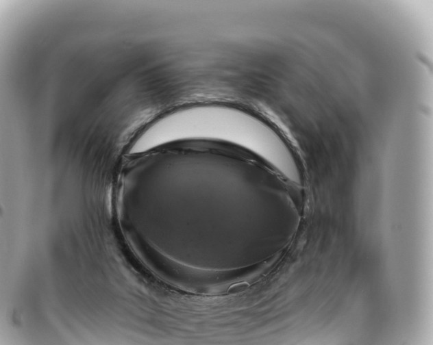 X0000095900019200801251234