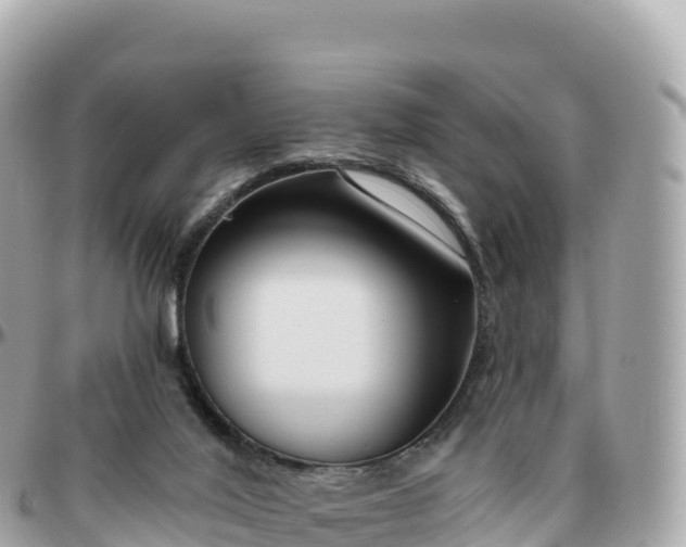 X0000095900020200801251234